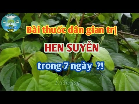 Bài thuốc dân gian trị HEN SUYỄN trong 7 ngày ?!