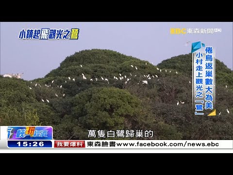 萬鳥歸巢蔚為奇觀 小村飄出咖啡香《海峽拚經濟》