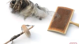 Domain 10: Colonial Towns & Townspeople Lesson 4: The Cloth Makers: Spinners & Weavers