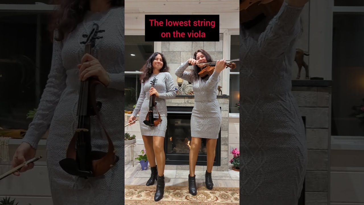Electric Violin Vs Acoustic Viola Shorts