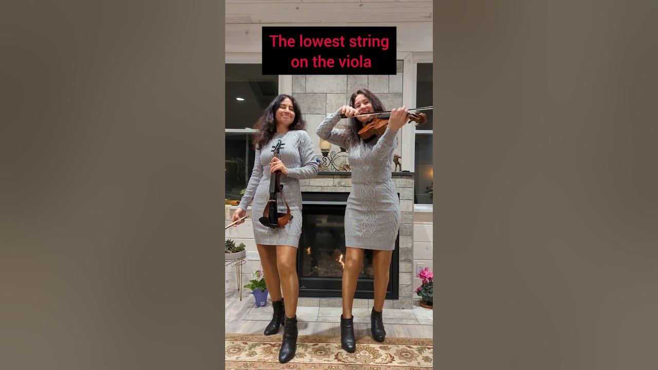 Electric violin vs acoustic viola #shorts