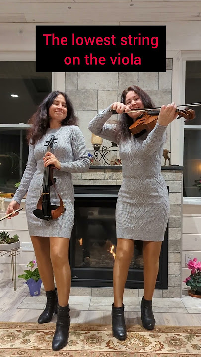 Electric violin vs acoustic viola #shorts