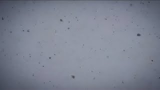 30 Min Cold Winter Wind | Snowy Night Sleep Sounds ❄️🌬️ – Calm Waves