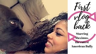 First Vlog back! | Runyon Cnyn | Cute American Bully