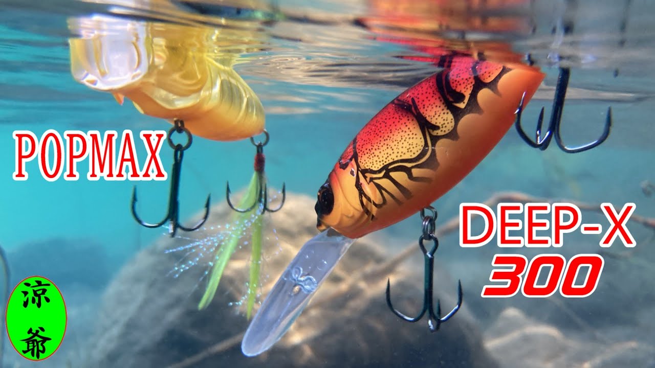 【バス釣り】上か 下かの どっちかだ！