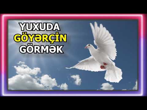 goyercin yuxu yozma  - yuxuda göyərçin görmək