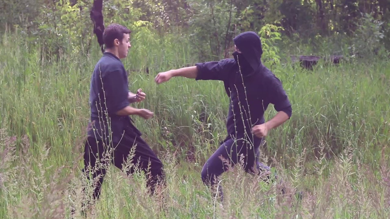 Sample martial arts 2018