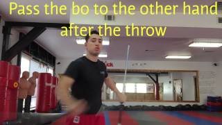 How to use double Bo staffs