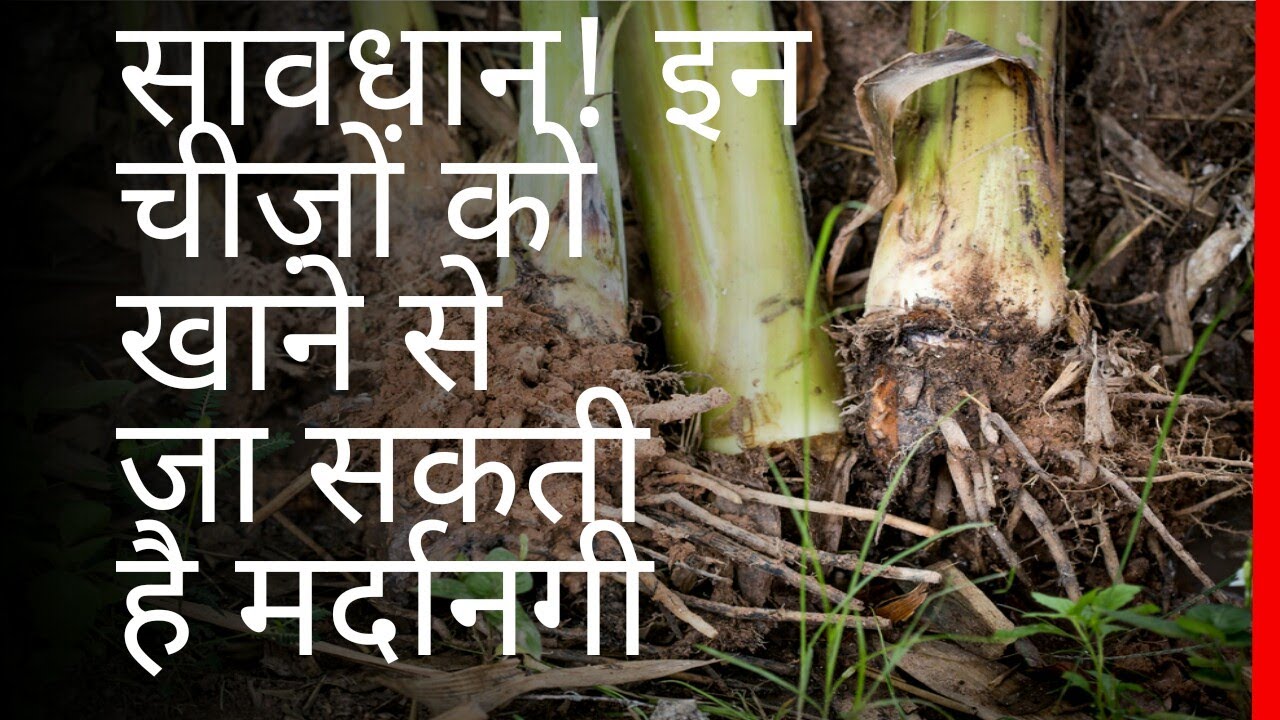 सावधान! इन चीज़ों को खाने से जा सकती है मर्दानगी