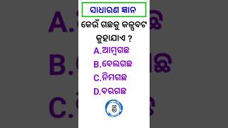 gk in odia//general knowledge questions and answers// କଳ୍ପବଟ// jay jagannath//gk //shortvideo