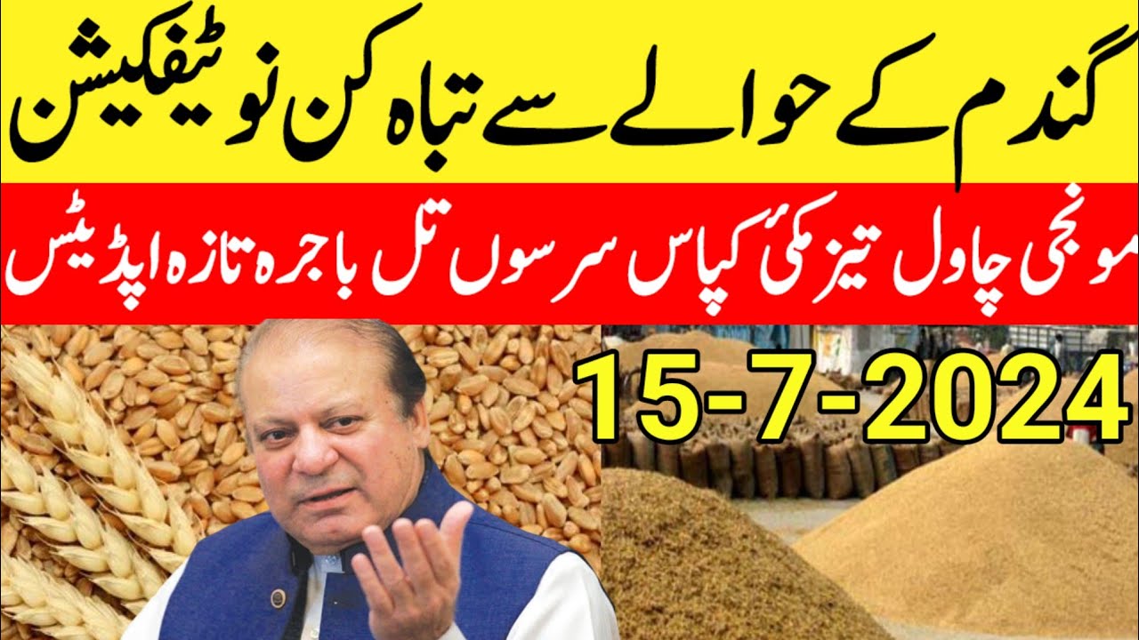 Good News wheat new gandam rate today/wheat price today in punjab/Makki ...