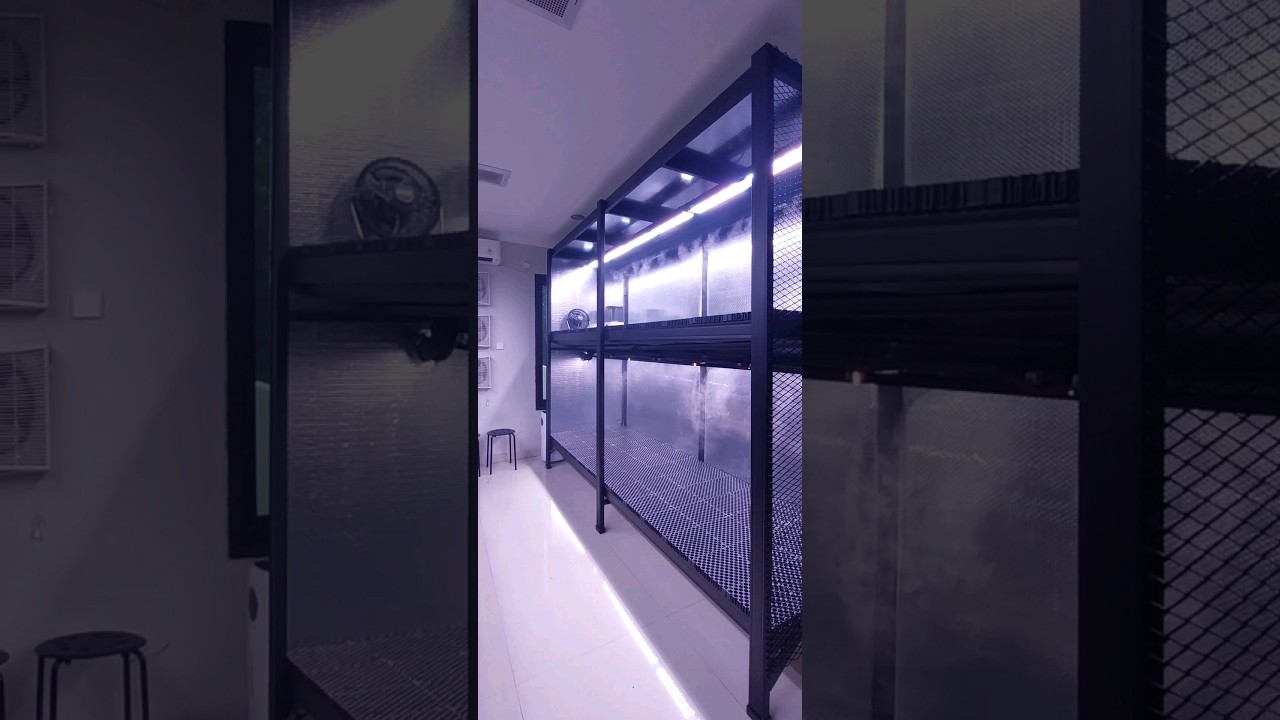 Grow Room - 2nd stage accomplished 