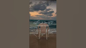 #اكتب_شي_تؤجر_عليه #القارئ_اسلام_صبحي #راحة_نفسية #القرآن_الكريم #تلاوة_خاشعة