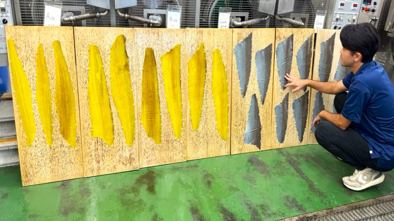 魚の皮で名刺入れを作るプロセス。高知で魚の皮が高級フィッシュレザーに変わる瞬間に密着!