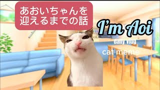 【猫ミーム】シャム猫あおいを保護した時の話🐈 by シャム猫あおい 804 views 2 months ago 2 minutes, 33 seconds