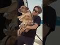 山本由伸、愛犬カルロスとの出会いが話題#shorts #ドジャース #大谷翔平#山本由伸#佐々木朗希#デコピン