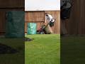One of my favorite uses for the rotary mower is using it as a lawn vacuum