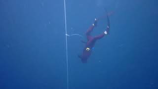 free diving AIDA2 training in 양양.   cwt  17.5m