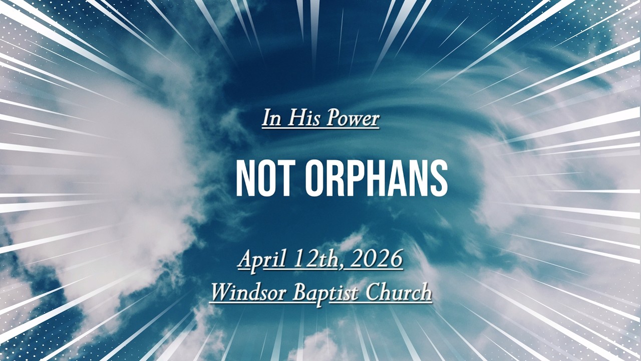 Not Orphans