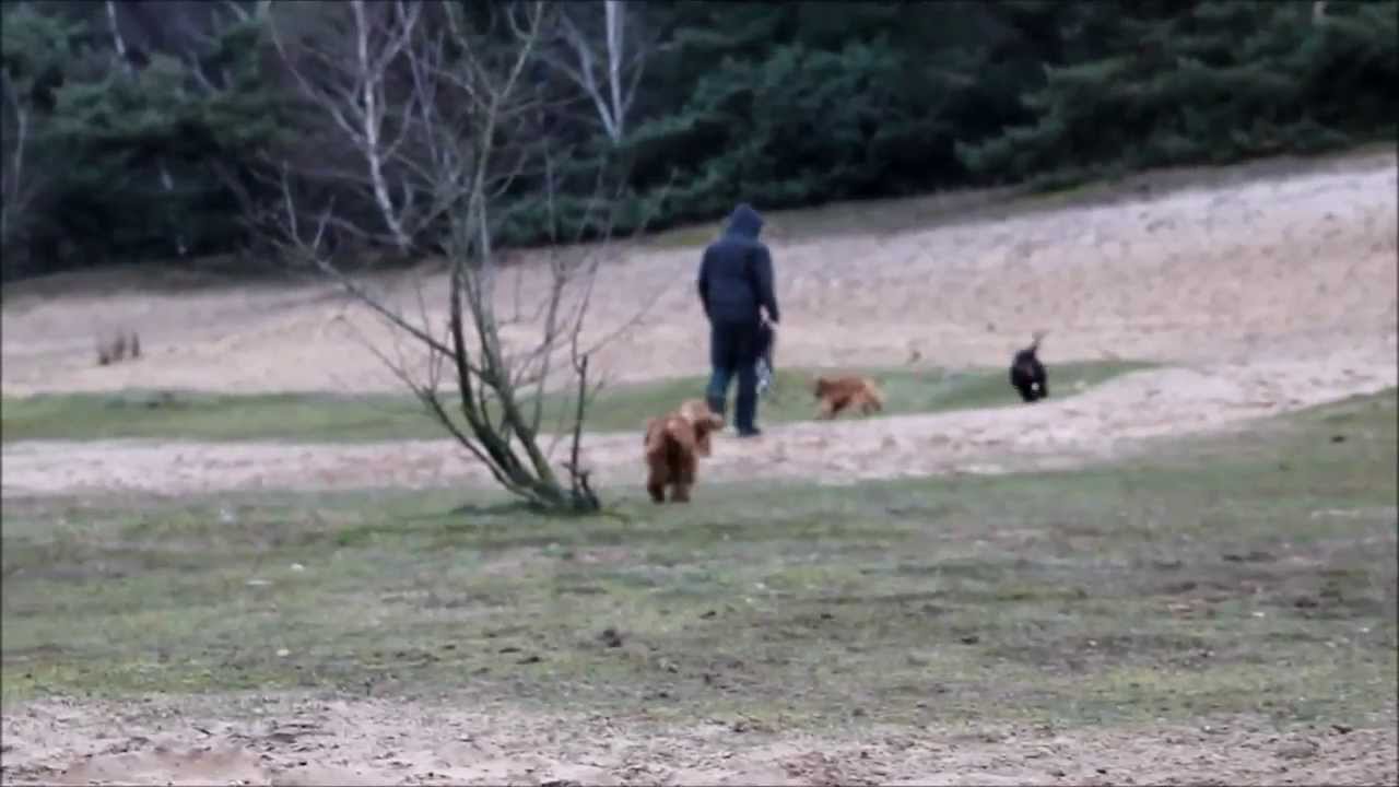 Sonntag am Fliegerberg