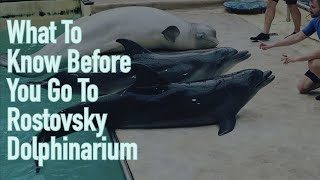 What To Know Before You Go: Rostovsky Dolphinarium