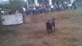 video0011.3g2