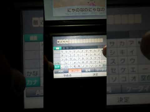 自分の3DSがバグりました