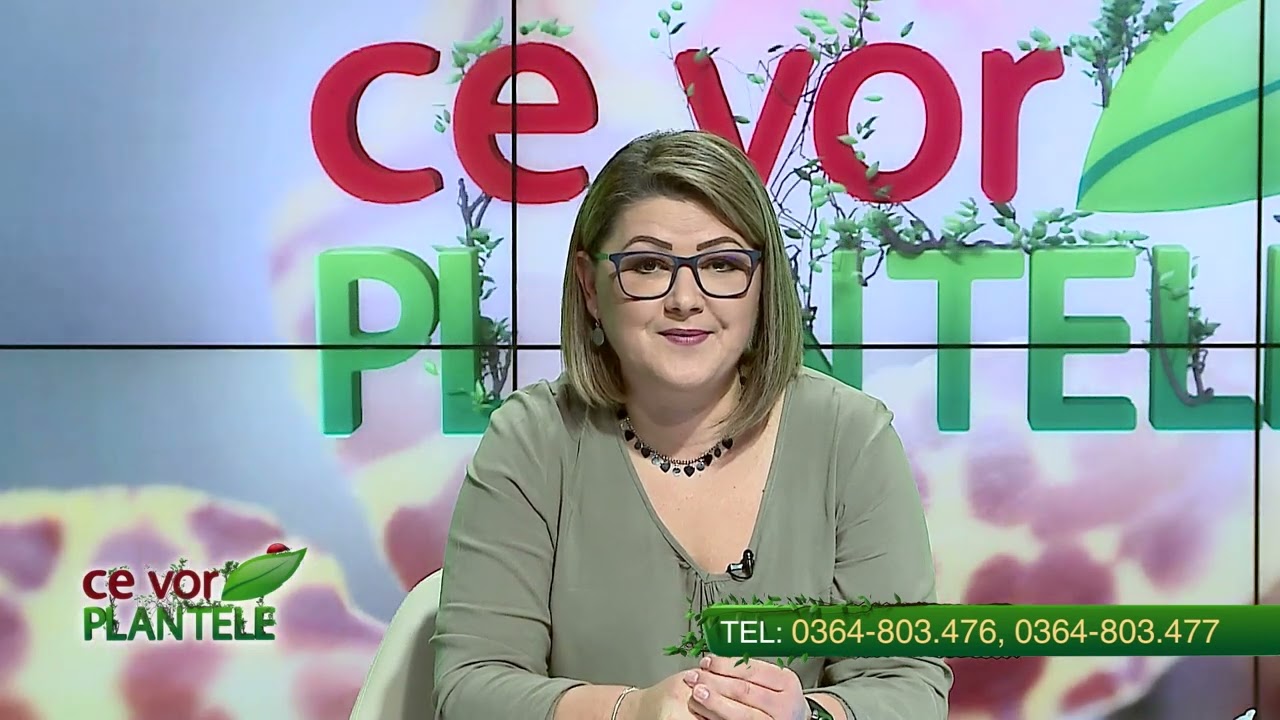 VIDEO Dr. Ing. Horia Ghibu - Văruirea pomilor primăvara, cea mai bună rețetă 1 VIDEO Dr. Ing. Horia Ghibu - Văruirea pomilor primăvara, cea mai bună rețetă YouTube player