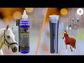 Top 10 Horse Grooming Products on Amazon in 2025