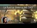La fuerza serena del Tao. Aída Toro Morales