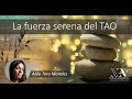 La fuerza serena del Tao.  Aída Toro Morales