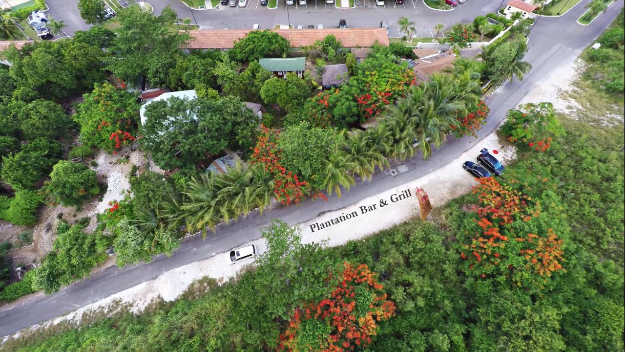 Plantation Bar & Grill Nassau Bahamas 4K YouTube