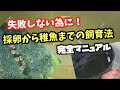 針子飼育が上手くいかない方必見!この方法で生存率を爆上げさせています。【メダカ】