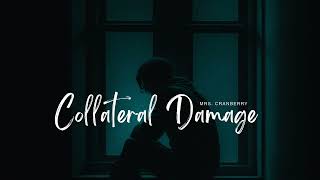 Collateral Damage