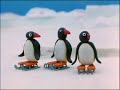 Pingu 31 Pingu S First Kiss Original VHS Version HQ Restored Pingu 31 Pingu S First Kiss Original VHS Version HQ Restored