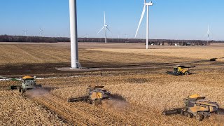 4 Combines harvesting corn in Michigan!