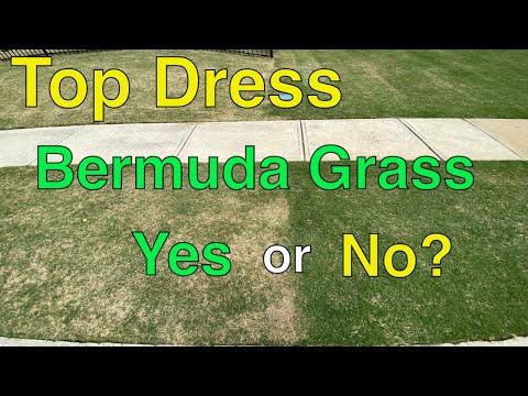 Vídeo: O top dress vale a pena?
