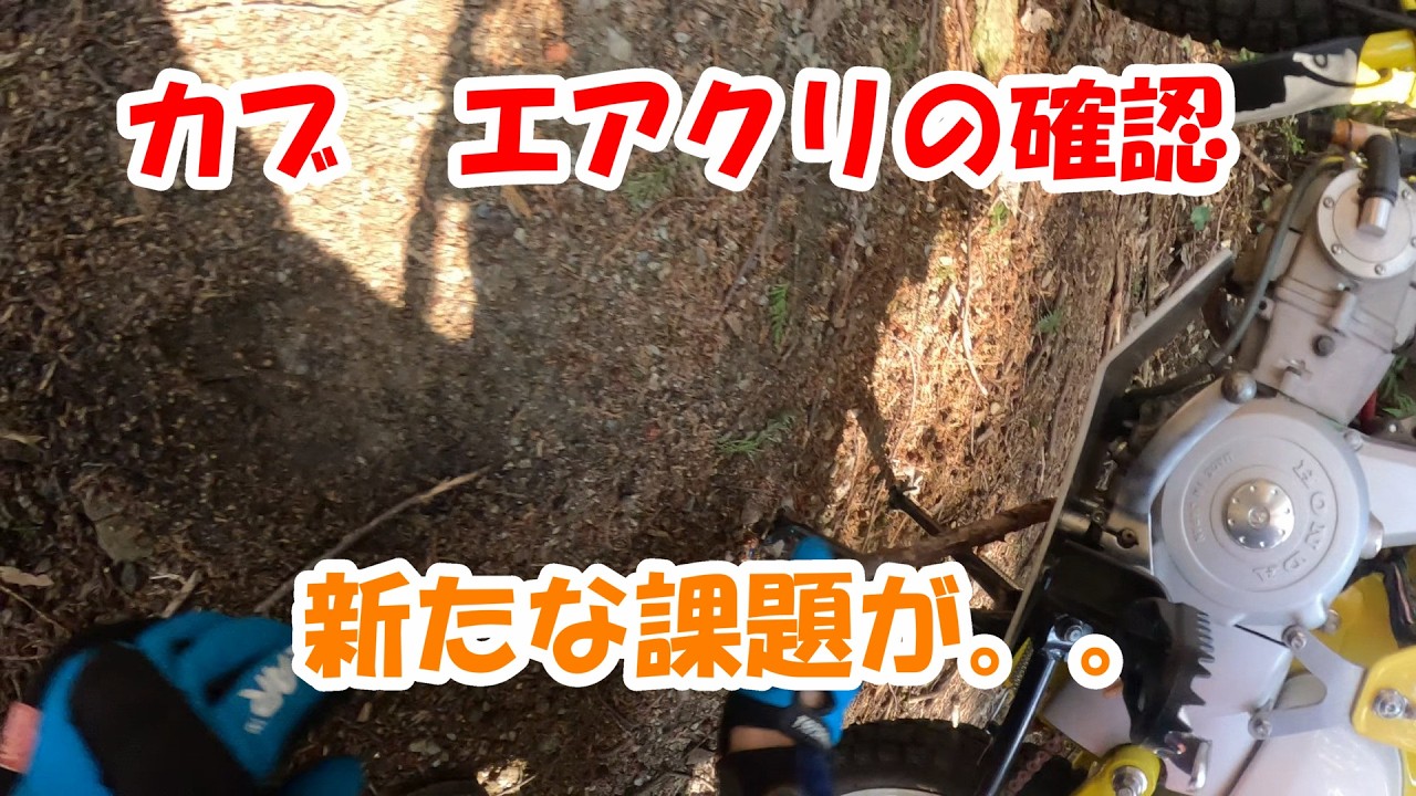 カブ　エアクリの確認