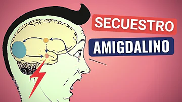 ¿Cómo se reduce una amígdala hiperactiva?