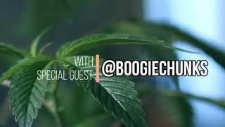 Sessions - Boogiechunks