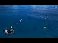 2025 World Rowing Beach Sprint Finals - Coastal Under 19 Men's Solo (CJM1x) - Final B