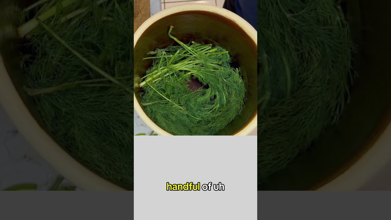 Garlic Dill Pickle Recipe - Watch full video here: 