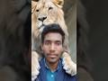 Tiger Tiger Filter Se Bano Sher! 🐯 | Trending Now #Tiger