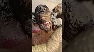 #butifyoucloseyoureyes #godzilla #actionfigures #toyphotography