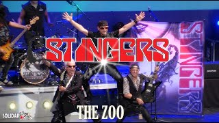 Stingers - The Zoo (Live in Lucena, Solidarirock Music Festival 2021)