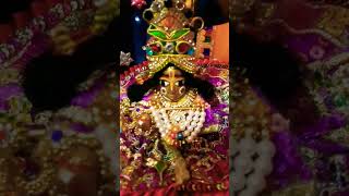 laddugopal bilkl new video #kanha tu kala #viral #trending #shortsvideo #subscribe