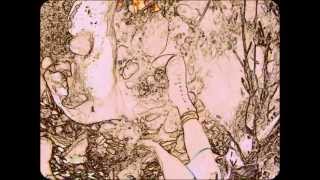 rock hunter 2011.wmv