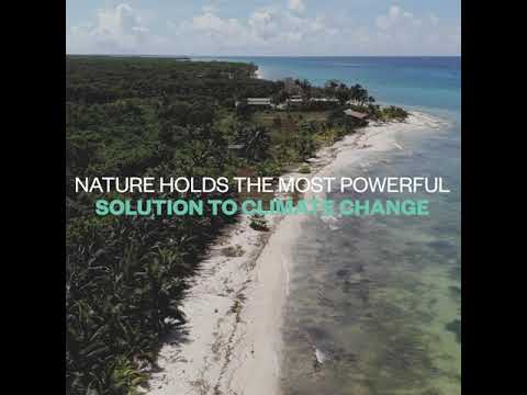 Carbon Offset program | Wave of Change | Iberostar Hotels & Resorts