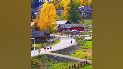 تلاوة مميزة رائقة لسورة الصافات وتأمل في خلق الله سبحانه