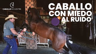 ☠ Caballo con MIEDO  al ruido  Episodio 1